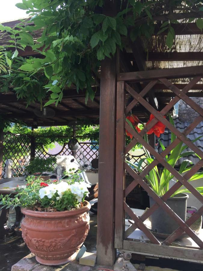 Il Ghiro B&B Ricco del Golfo di Spezia Exterior photo